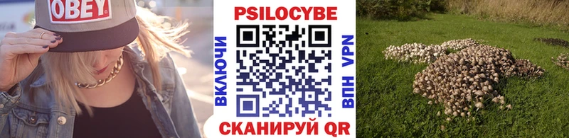 Купить где  Красногорск  Галлюциногенные грибы Psilocybine cubensis 